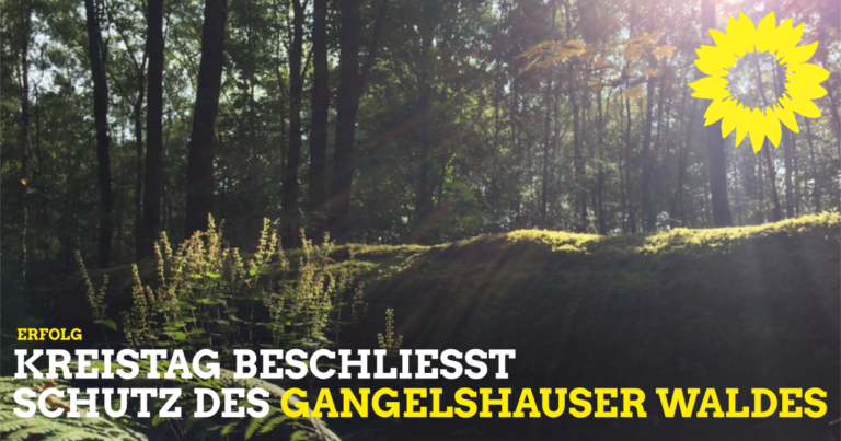 Kreistag beschließt Schutz des Gangelshauser Waldes