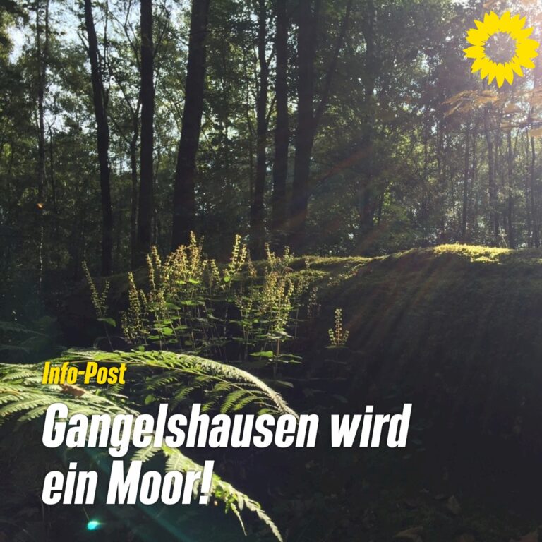 Wiedervernässung von Gangelshauser Wald startet